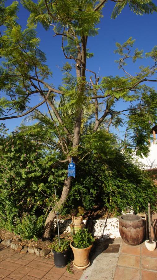 Appartamento Casa del Cielo Frigiliana Esterno foto