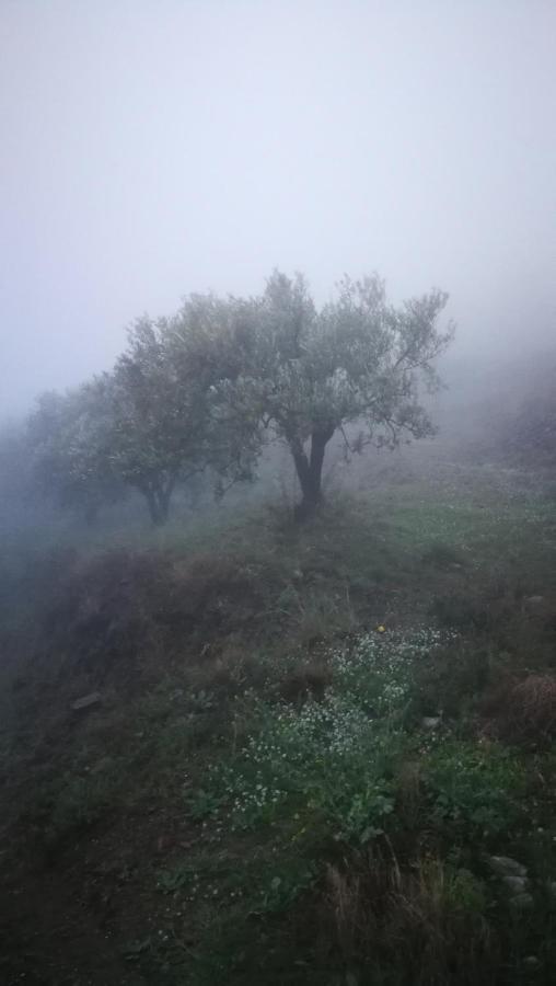 Appartamento Casa del Cielo Frigiliana Esterno foto
