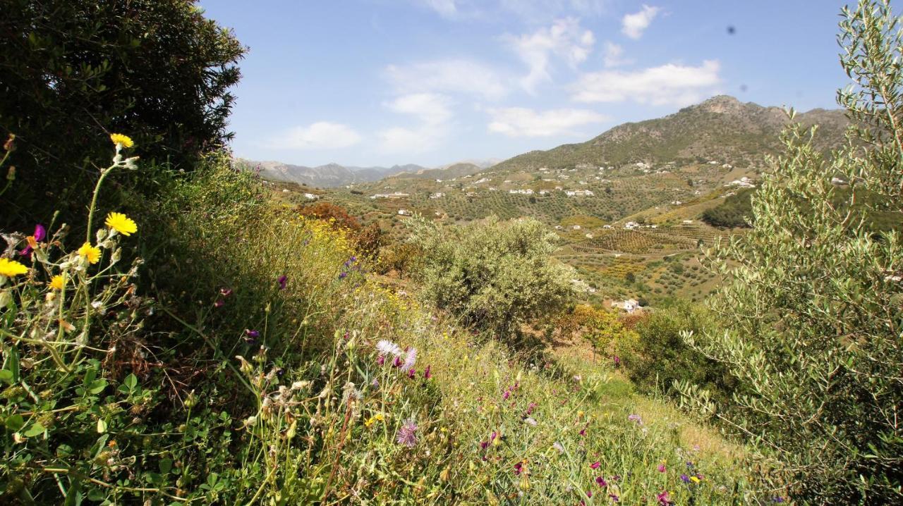 Appartamento Casa del Cielo Frigiliana Esterno foto
