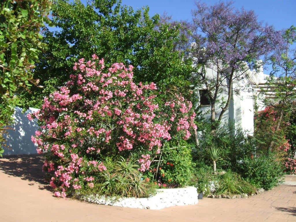 Appartamento Casa del Cielo Frigiliana Esterno foto