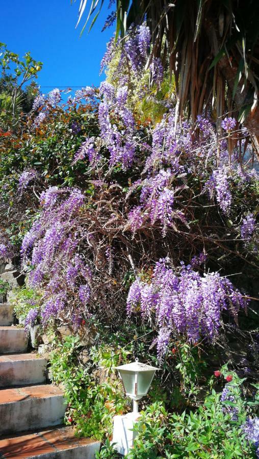 Appartamento Casa del Cielo Frigiliana Esterno foto